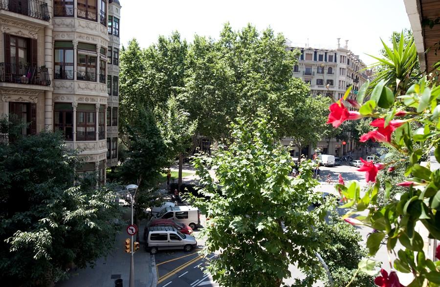 بيت شباب ذا لوفت بارشلونة برشلونة المظهر الخارجي الصورة